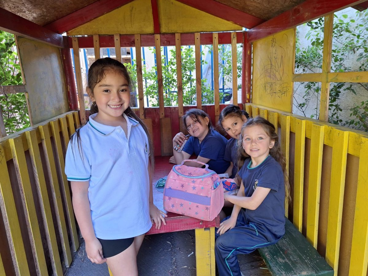 Transición Educativa: Actividad de Cierre