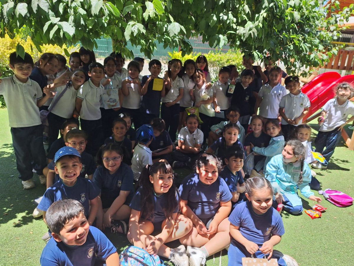 Transición Educativa: Actividad de Cierre