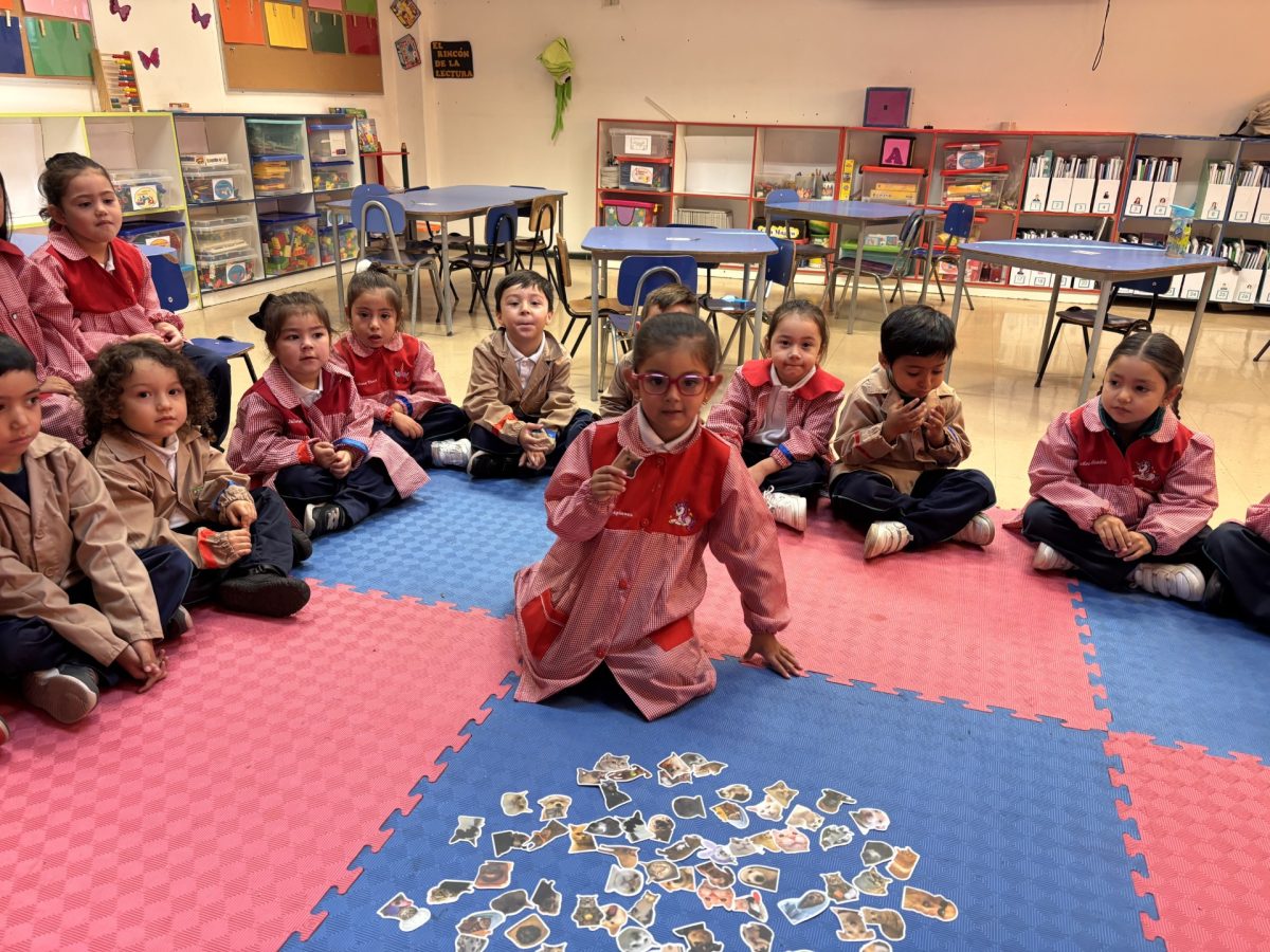 Fortaleciendo la Convivencia Escolar a través del Desarrollo Socioemocional