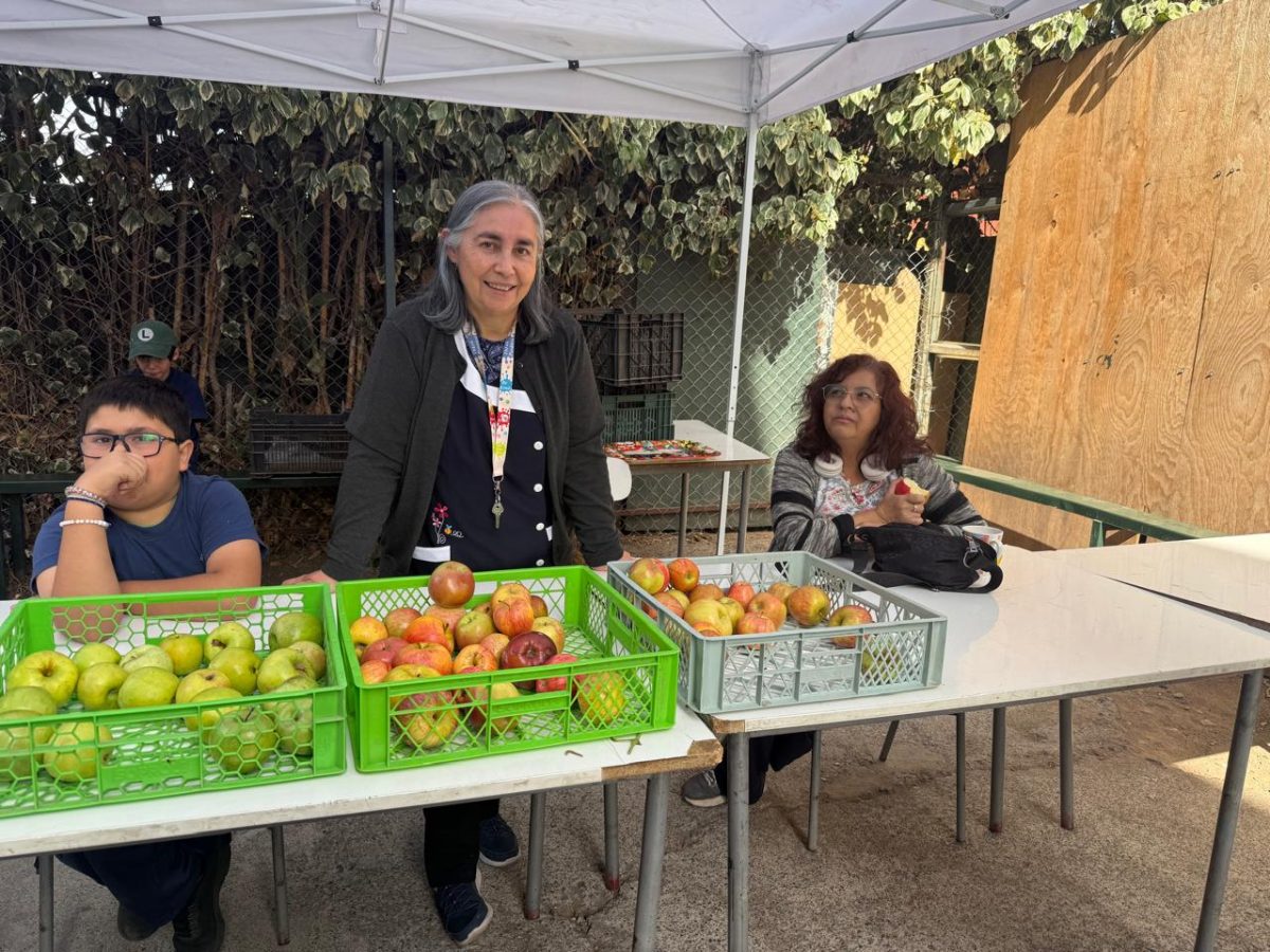 Corrida Familiar Selcano 3K 2026